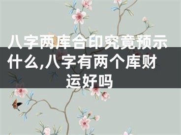 八字两库合印究竟预示什么,八字有两个库财运好吗