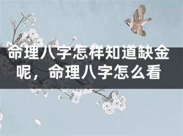 命理八字怎样知道缺金呢，命理八字怎么看
