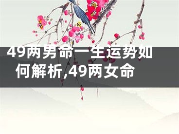 49两男命一生运势如何解析,49两女命