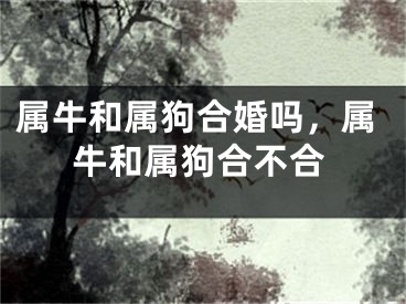 属牛和属狗合婚吗，属牛和属狗合不合