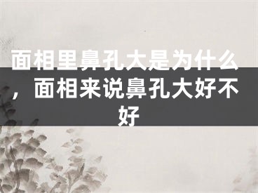 面相里鼻孔大是为什么，面相来说鼻孔大好不好