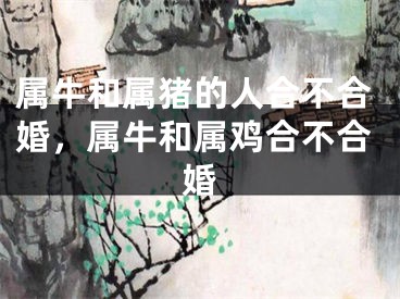 属牛和属猪的人合不合婚，属牛和属鸡合不合婚