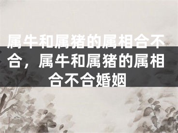 属牛和属猪的属相合不合，属牛和属猪的属相合不合婚姻