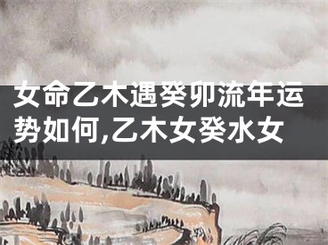 女命乙木遇癸卯流年运势如何,乙木女癸水女