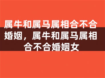 属牛和属马属相合不合婚姻，属牛和属马属相合不合婚姻女