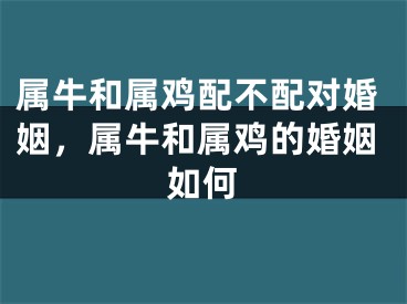 属牛和属鸡配不配对婚姻，属牛和属鸡的婚姻如何