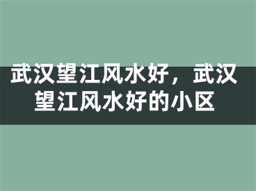 武汉望江风水好,武汉望江风水好的小区