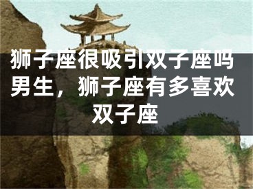 狮子座很吸引双子座吗男生，狮子座有多喜欢双子座
