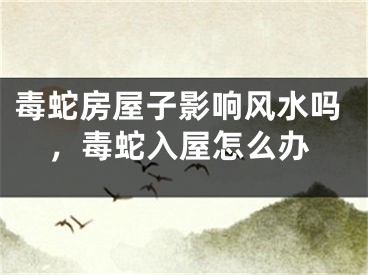 毒蛇房屋子影响风水吗，毒蛇入屋怎么办