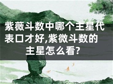紫薇斗数中哪个主星代表口才好,紫微斗数的主星怎么看?