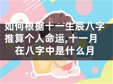如何根据十一生辰八字推算个人命运,十一月在八字中是什么月