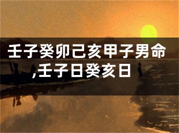 壬子癸卯己亥甲子男命,壬子日癸亥日