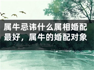 属牛忌讳什么属相婚配最好，属牛的婚配对象