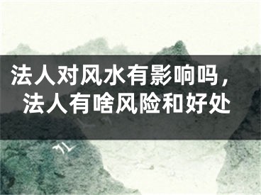 法人对风水有影响吗，法人有啥风险和好处