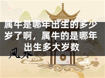 属牛是哪年出生的多少岁了啊，属牛的是哪年出生多大岁数
