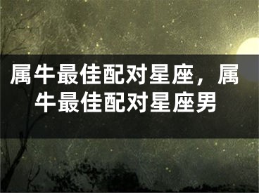 属牛最佳配对星座，属牛最佳配对星座男