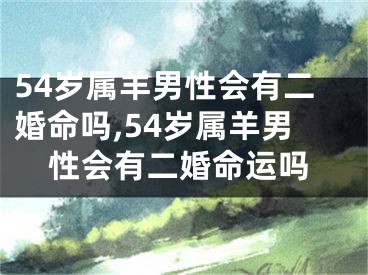 54岁属羊男性会有二婚命吗,54岁属羊男性会有二婚命运吗