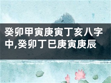 癸卯甲寅庚寅丁亥八字中,癸卯丁巳庚寅庚辰