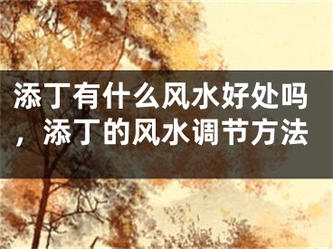 添丁有什么风水好处吗，添丁的风水调节方法