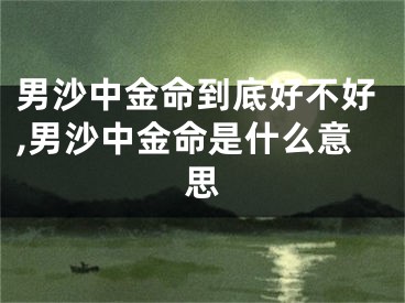 男沙中金命到底好不好,男沙中金命是什么意思