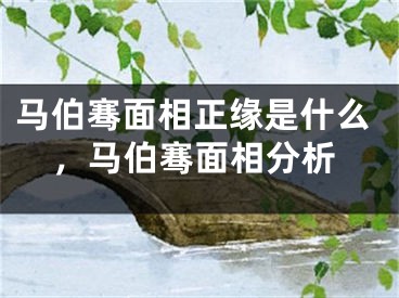 马伯骞面相正缘是什么，马伯骞面相分析