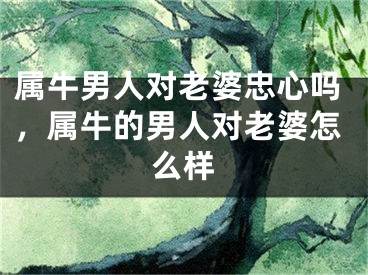 属牛男人对老婆忠心吗，属牛的男人对老婆怎么样