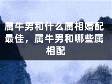 属牛男和什么属相婚配最佳，属牛男和哪些属相配