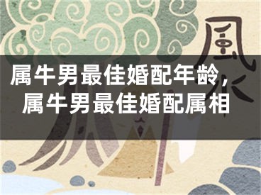 属牛男最佳婚配年龄，属牛男最佳婚配属相