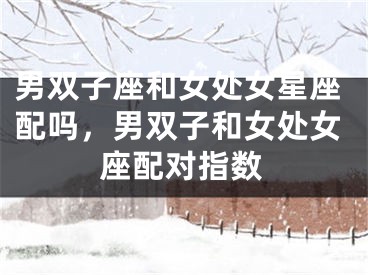 男双子座和女处女星座配吗，男双子和女处女座配对指数