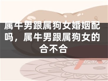 属牛男跟属狗女婚姻配吗，属牛男跟属狗女的合不合