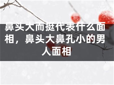 鼻头大而挺代表什么面相，鼻头大鼻孔小的男人面相