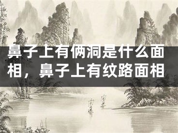 鼻子上有俩洞是什么面相，鼻子上有纹路面相