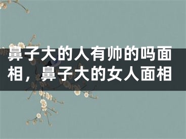 鼻子大的人有帅的吗面相，鼻子大的女人面相