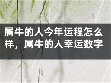 属牛的人今年运程怎么样，属牛的人幸运数字