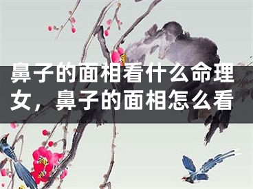 鼻子的面相看什么命理女，鼻子的面相怎么看