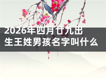 2026年四月廿九出生王姓男孩名字叫什么