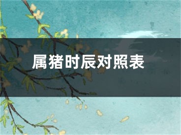 属猪时辰对照表