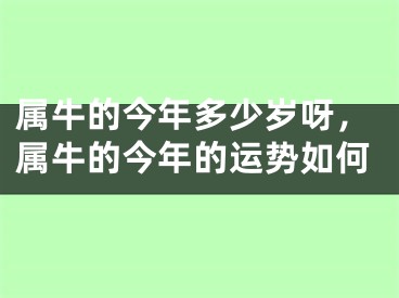 属牛的今年多少岁呀，属牛的今年的运势如何
