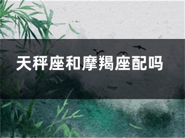 天秤座和摩羯座配吗