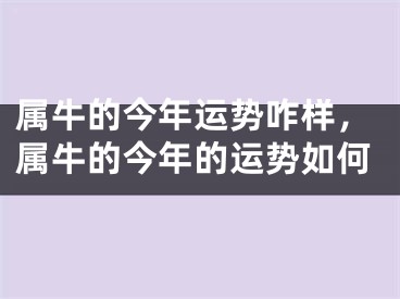 属牛的今年运势咋样，属牛的今年的运势如何