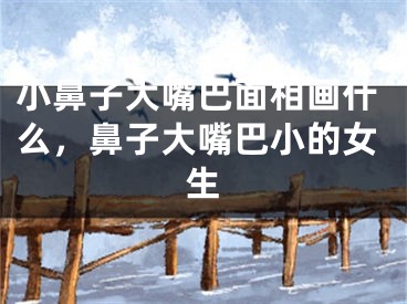 小鼻子大嘴巴面相画什么,鼻子大嘴巴小的女生