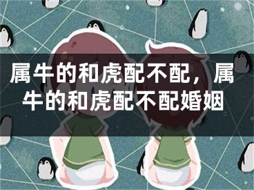 属牛的和虎配不配，属牛的和虎配不配婚姻