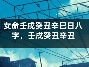 女命壬戌癸丑辛巳日八字，壬戌癸丑辛丑