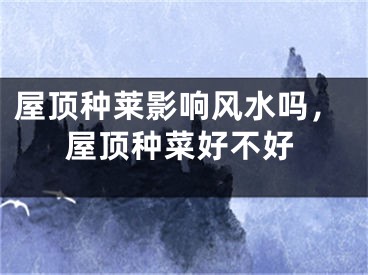 屋顶种莱影响风水吗，屋顶种菜好不好