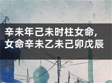 辛未年己未时柱女命,女命辛未乙未己卯戊辰