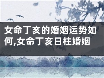 女命丁亥的婚姻运势如何,女命丁亥日柱婚姻