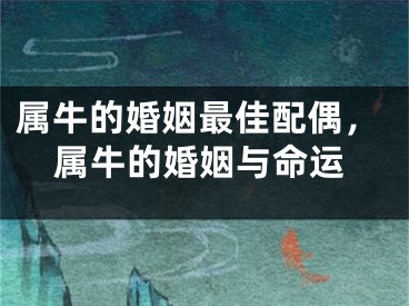 属牛的婚姻最佳配偶，属牛的婚姻与命运