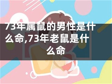 73年属鼠的男性是什么命,73年老鼠是什么命