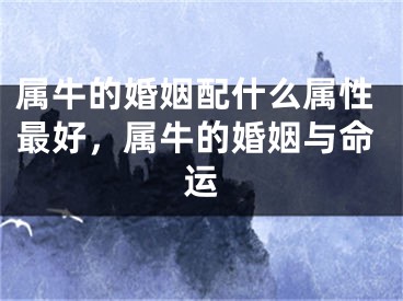 属牛的婚姻配什么属性最好，属牛的婚姻与命运
