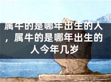 属牛的是哪年出生的人，属牛的是哪年出生的人今年几岁